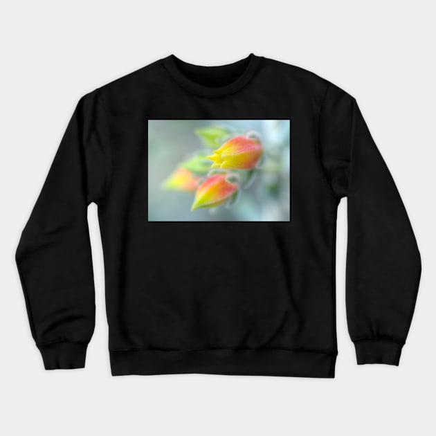 Here Comes The Echeveria Crewneck Sweatshirt by Michaelm43